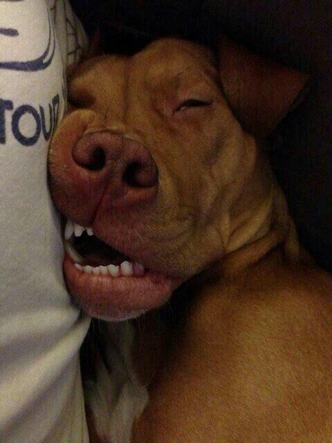 PatoOlaz's tweet photo. Buen día! Frío tenes que parar o se me cicatrizan los ojos http://t.co/A9yNhs0Ouo