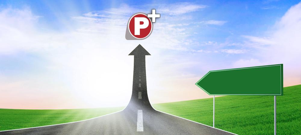 Piketi Plus (P+) tamamen organik yöntemlerle web sayfalarının ziyaretçi sayılarını artıran bir bilgisayar yazılımıdır