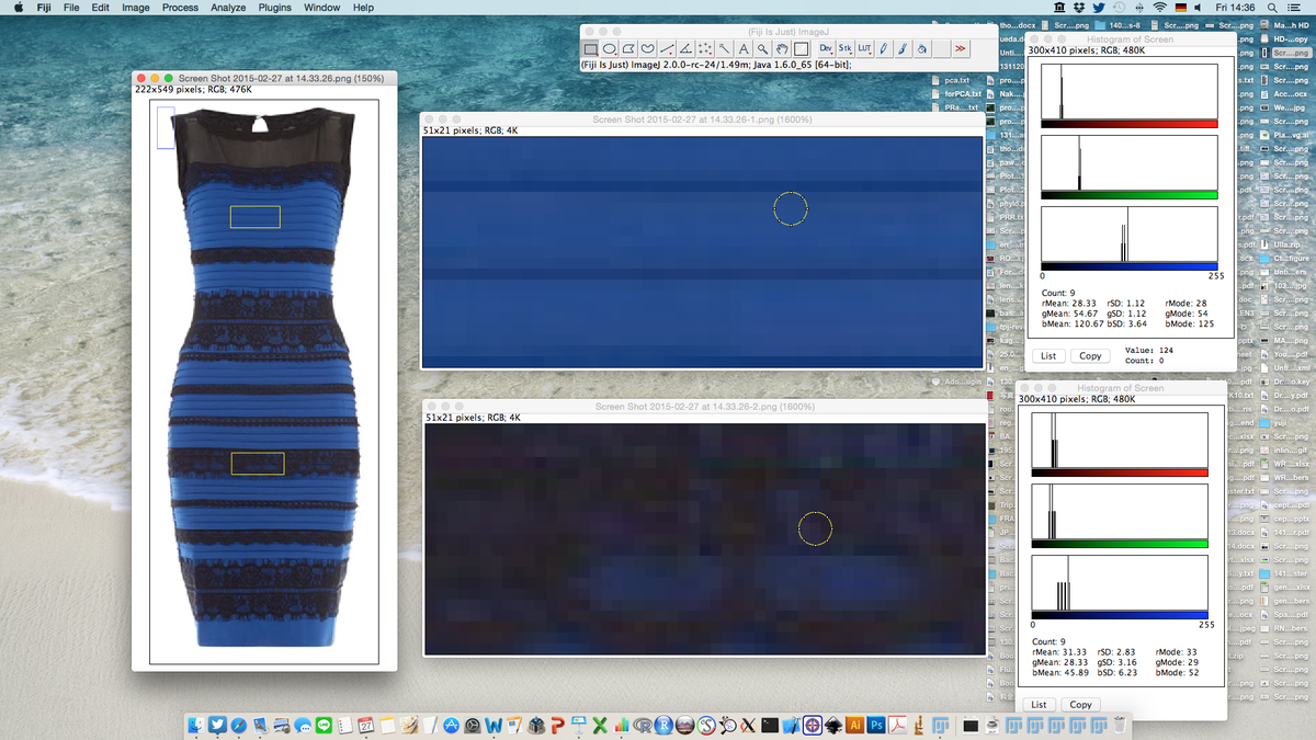 Ryohei Thomas Nakano Mpipz 錯視がどうこうの前に 被写体が青と黒のドレス であることは 写真に写った色が青と黒 であるわけではない 実際のところ本物のドレスは濃い青と青みがかかった黒なのに対して写真では赤みがかかかった黄色と青っぽい白に