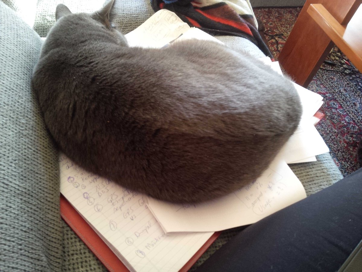 mforrest64's tweet image. Working from home #slackassistant #lazycat