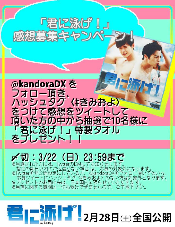 明日公開！「君に泳げ！」感想募 集 キャン ペーンのお知らせ！
@kandoraDX をフォロー頂き、 ハッシュタグ〈#きみおよ〉をつけて感想をツイートして頂いた方の中 から 抽選で10名様に「君に泳げ！」特製タオルをプレゼント！