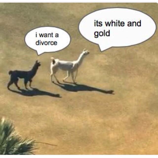 FeelTheBlank___'s tweet photo. @straightupworld http://t.co/L1ii8j5K2F