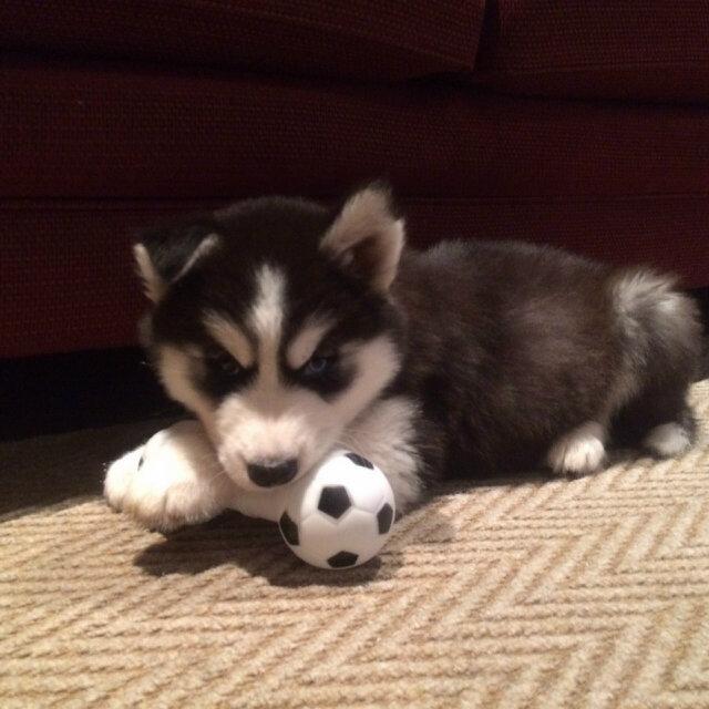 First addition to the family