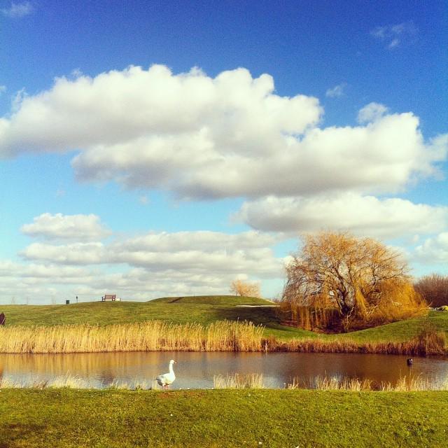 Embedded image permalink