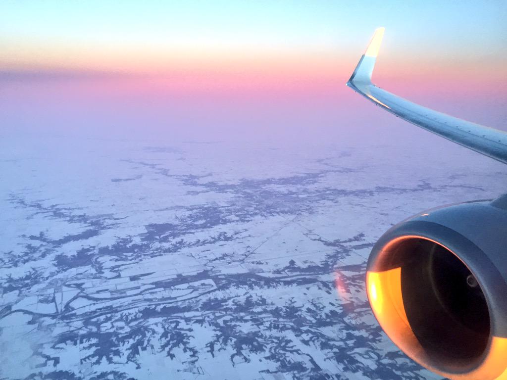 made it through the cold... Over the ice..... And to Florida!! 😊 instagram.com/p/znAh_bMigr/