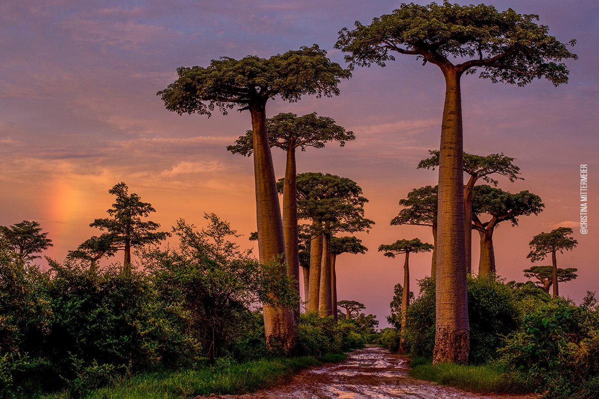 NatGeo's tweet image. #PlanetaPhoto is a movement to conserve nature through the power of photography: on.natgeo.com/1LQnpJh
