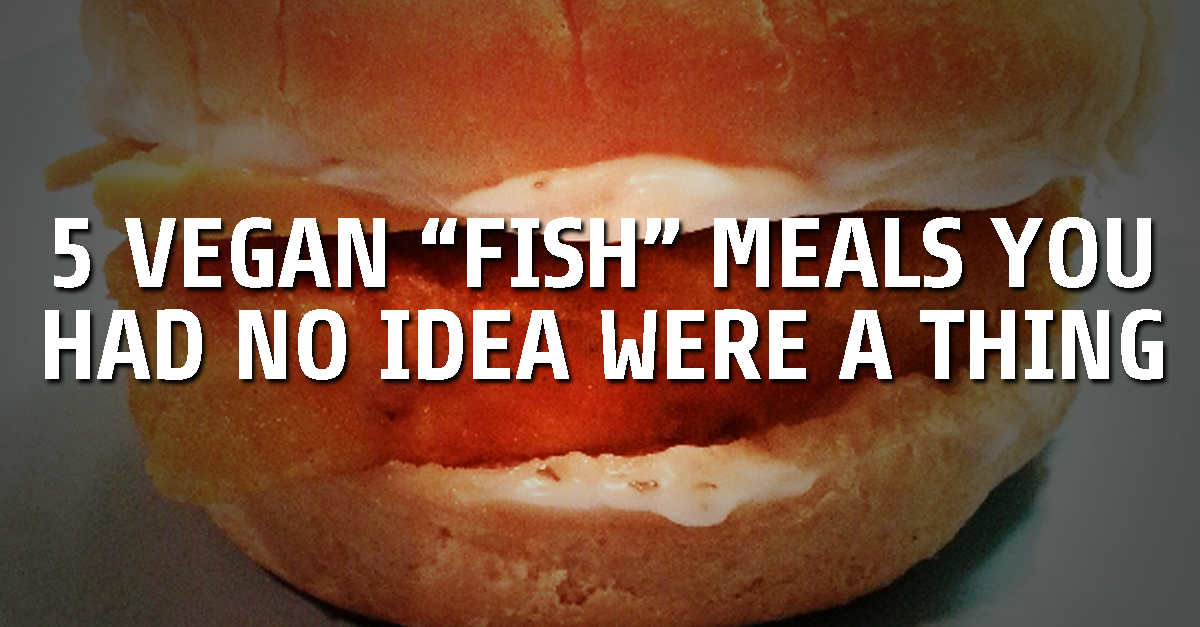 PETAShares's tweet photo. It's #FiletOFishFriday!

You won't BELIEVE these recipes are #vegan: http://t.co/DOlNoKv2eG http://t.co/KjROGYblwH
