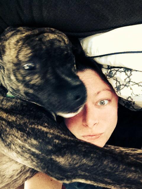 SarabethRozelle's tweet photo. #noboundaries #maysbrotherbodey #waitingformay #chemo #caninelymphoma #rescuedog #pitboxerlove http://t.co/prt2PGxcM7 http://t.co/HAqrBSjIoK