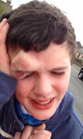 cardendengossip's tweet photo. Sheep asked his mum for money and this is what happened. http://t.co/xEFepnryVT