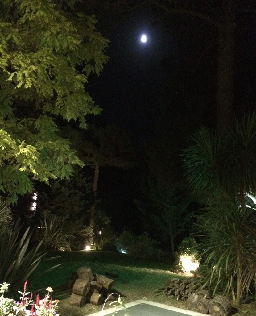 sercompany's tweet image. Bella luna! 😄😄😄#enchantedforrest #alegría