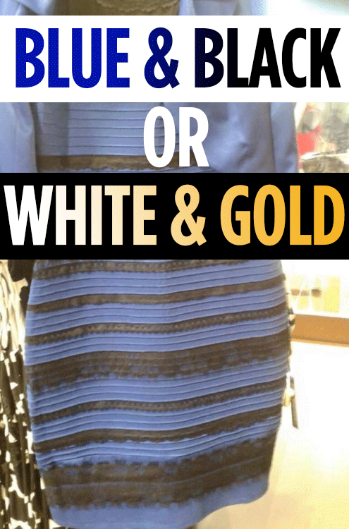 FlipShop's tweet photo. Is This Dress Blue And Black Or White And Gold? Here's What The Experts Say
http://t.co/LYSOdsP46y #fashion #style http://t.co/tDDMDflAzE