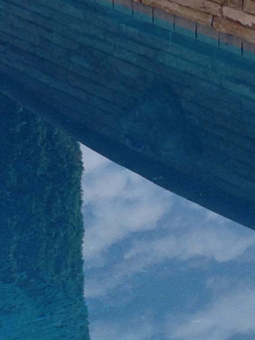 mszzxoxo's tweet image. Too cold for a swim. #WinterReflection #Austin #TX ⭐️