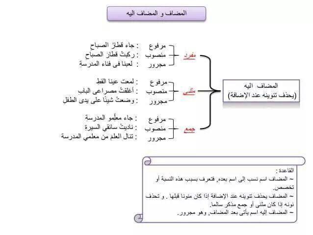 المضاف إليه يأتي بعد