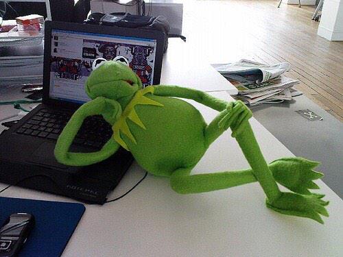 Kermzel's tweet image. @TheWitchZelena That's debatable my dear BC we are twins that means we look the same