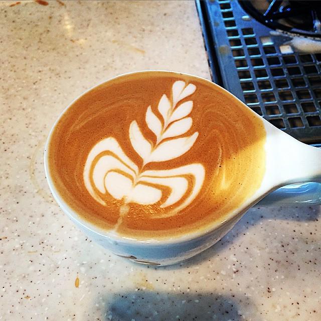 Introduzir 65+ imagem tulipa latte art - br.thptnganamst.edu.vn
