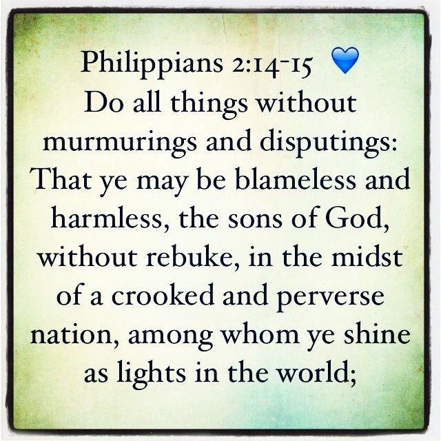 proverbs35trust's tweet image. Do all things without murmurings and disputings. - Phil. 2:14-15 #bibleverse #philippians #blameless #harmless #shine