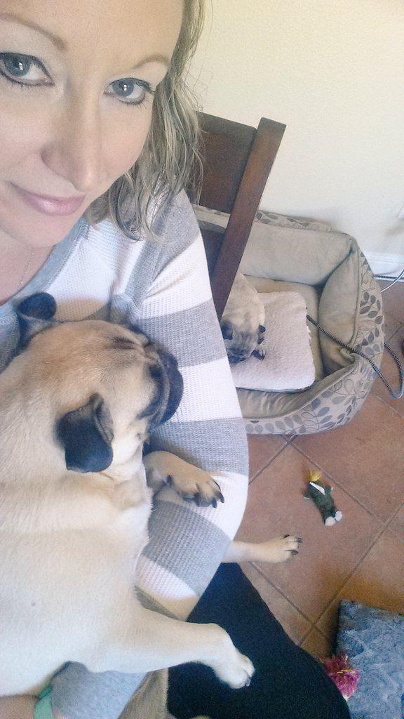 tucker_pug's tweet photo. Guess what mom and I are doing more of today? #homework !!!!! Blah!!! #puglife #helperpug http://t.co/1TSnBXNB5H