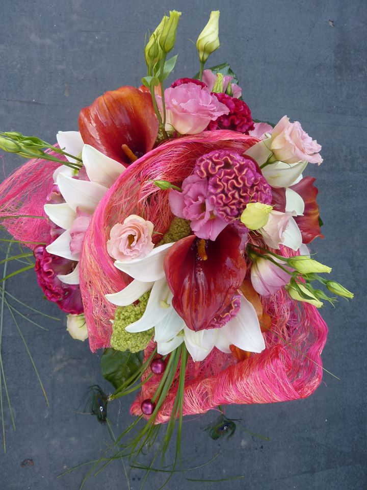 Floimpex's tweet image. 