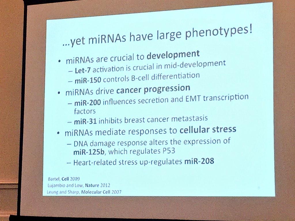 ara_anderson's tweet image. @sargoshoe explains what microRNA are and why they are important #icbppsocmath