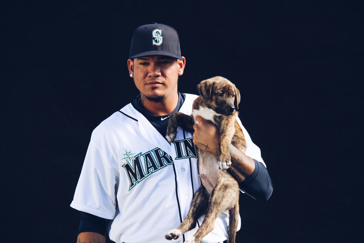 copafuji's tweet photo. Puppies are just about the only thing @RealKingFelix intentionally walks. #MarinersST http://t.co/8gi18ktcHS