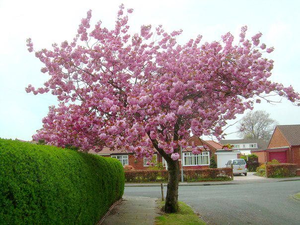 Lane&Vale tweet media