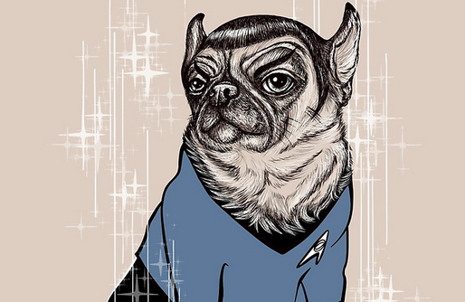 A sad day for #Trekkies and a good reminder to live long and pawsper. #RIPLeonardNimoy rdbl.co/spock