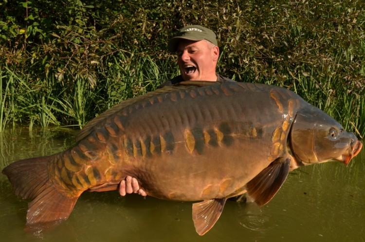 Carperespect's tweet image. 