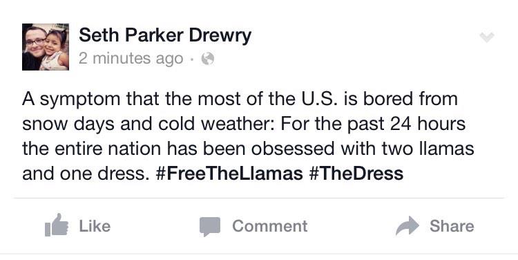 sethdrewry's tweet image. #FreeTheLlamas #TheDress