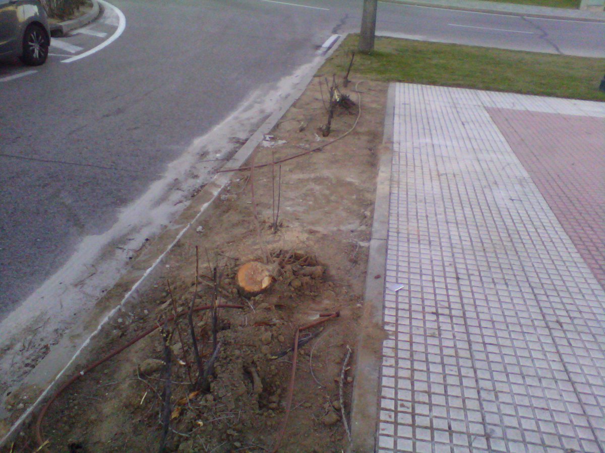 CarlosPanza2's tweet photo. Otra víctima del tráfico en #Boadilla la próxima pueden ser niños ¿A qué espera para tomar medidas @Aglezterol? http://t.co/3uEMxjFc2m