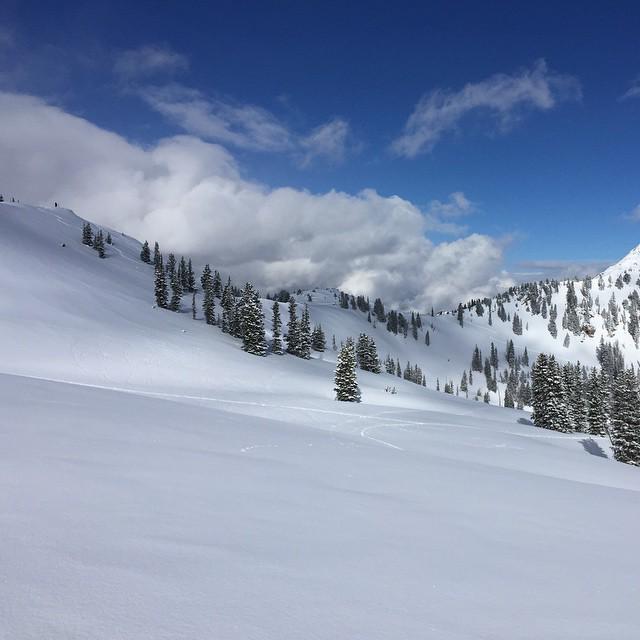 drinkbluebird's tweet photo. Super fun day at altaskiarea Fresh snow in the morning and sun in the afternoon! #bluebird… http://t.co/eDBXJvI4Vx http://t.co/VOs8C056mT