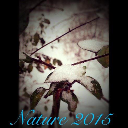 devantaebb's tweet image. 