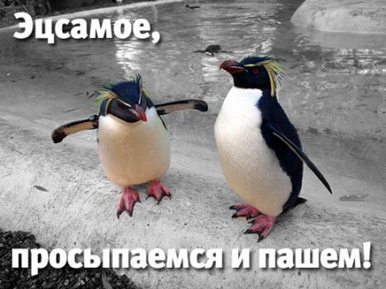 Прикольные картинки с добрым утром для коллеги