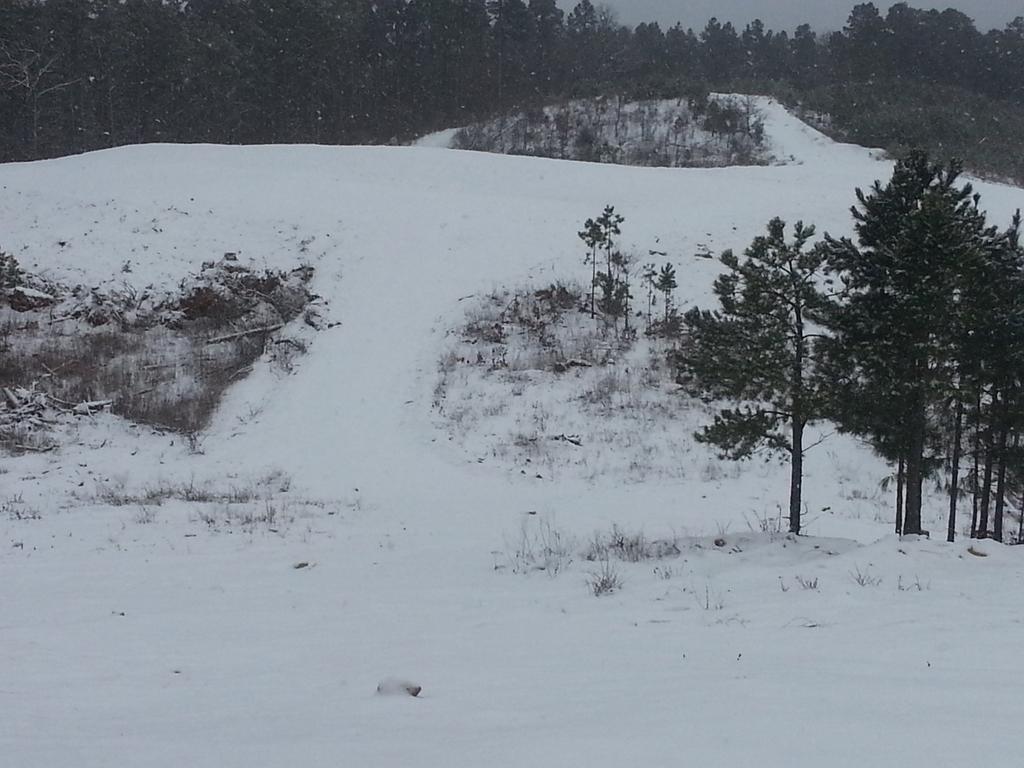 jamessingletonj's tweet image. *** Please Describe the Photo Taken Below (Include Your Name, Location, etc.)... ***y-city, Arkansas, 72926