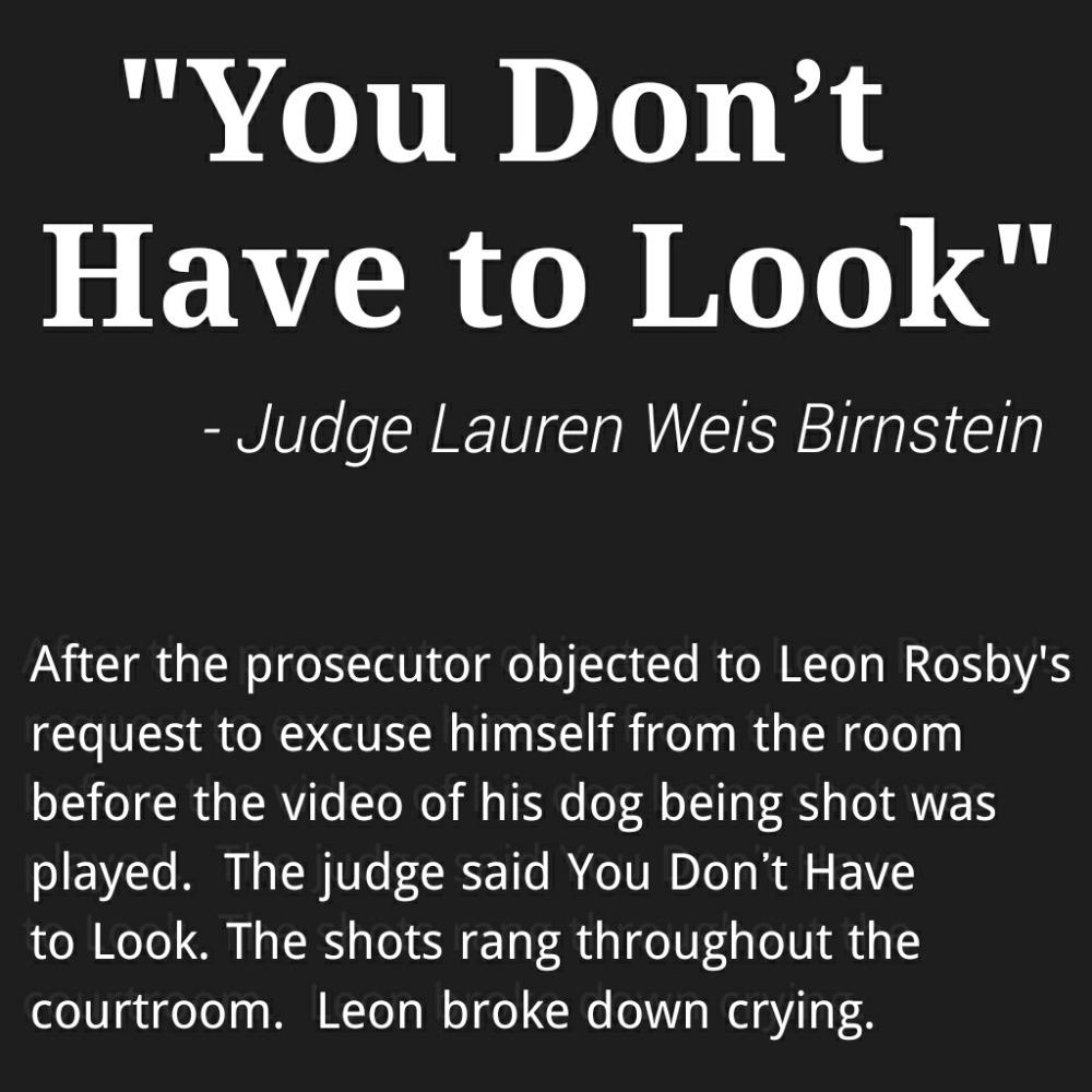 BrendaVegan's tweet image. You Don’t Have to Look. #LeonRosby on trial for a concocted charge as a cover up police Killing his dog @CopBlock