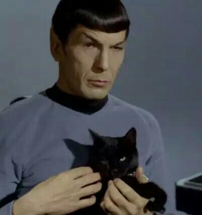 amyvantastic's tweet image. Boldly Go..... # LLAP