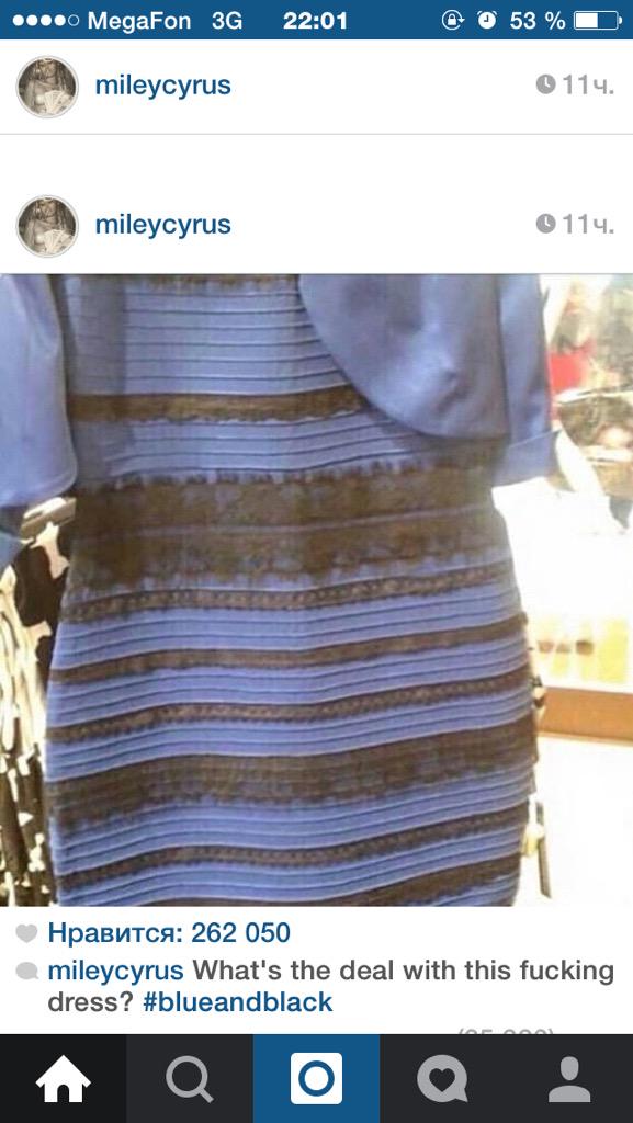 satan152's tweet photo. Оно синее http://t.co/XVkxrG6f1f