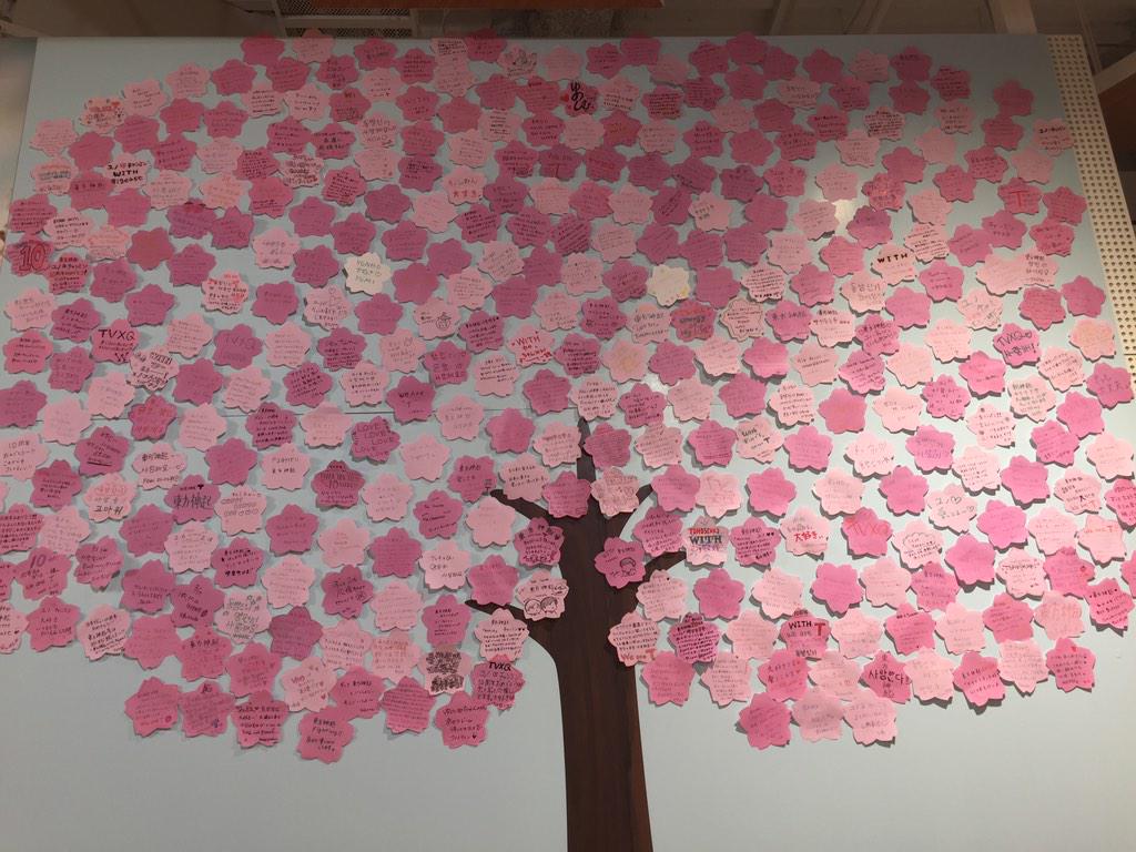 タワーレコード梅田nu茶屋町店 على تويتر 東方神起 トンペンの皆様のサクラのメッセージでできた桜の木は日々成長 中 毎日の皆様のメッセージでこんなに大きくなりました 10周年のお祝いメッセージや日頃の応援メッセージ 皆様の想いが詰まった桜の木です