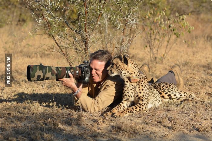 9GAG's tweet photo. This is how real men shoot animals
http://t.co/MelqjgddXQ http://t.co/RRkNGMAnxb