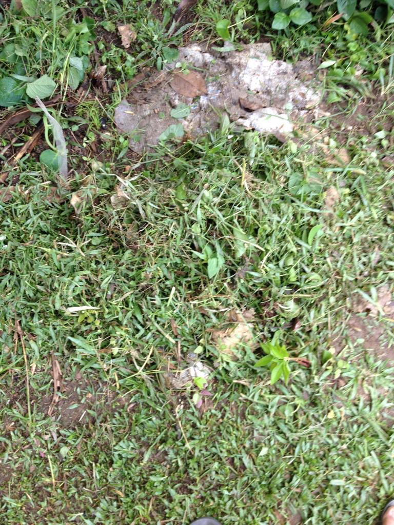 Kebun Rumah Kita on Twitter Mari berkompos ria Sampah Kebun Rumah Kita on Twitter Mari berkompos ria Sampah