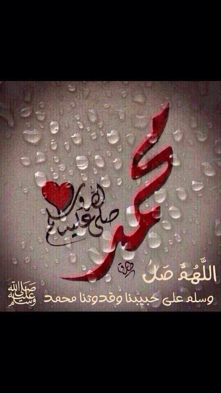 noor (@noormamn) on Twitter photo 