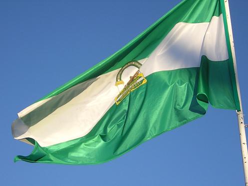 perezpimentel_'s tweet photo. Buenos días, feliz día de Andalucía! #28F http://t.co/AwZuTl7h8d