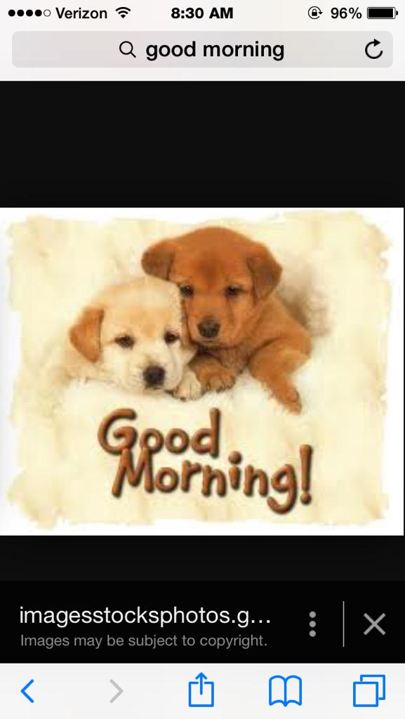 RavenSm2003's tweet image. Good morning people