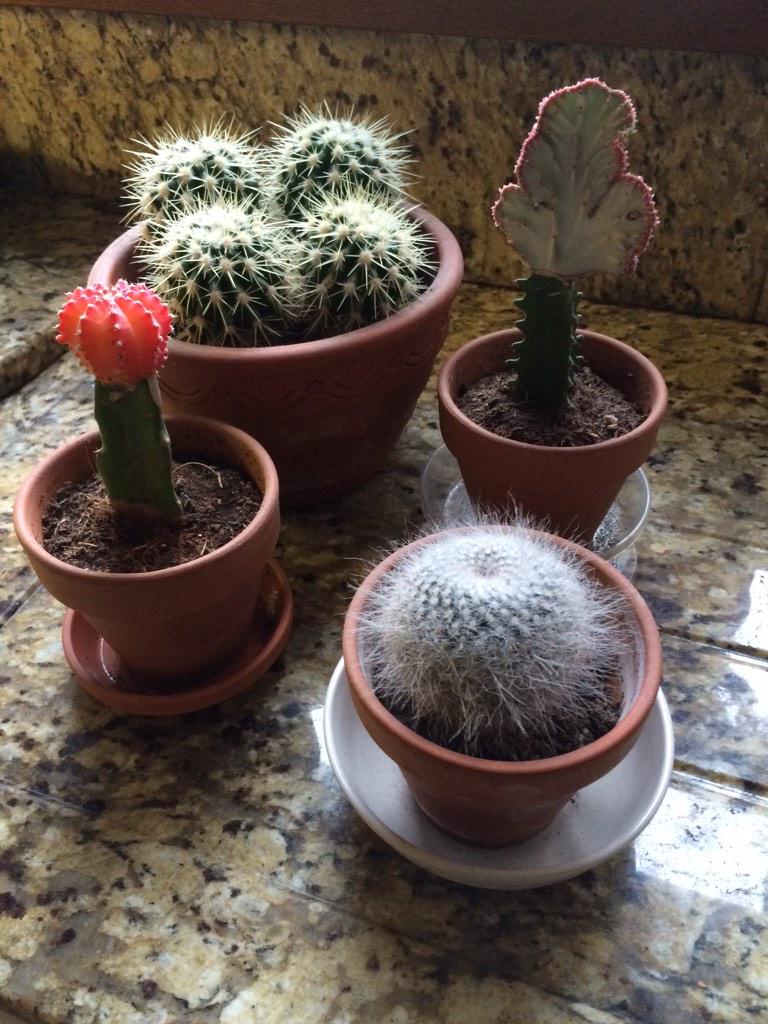 M_McGuinness_SF's tweet image. Wakey Wakey !!!