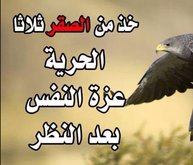 aayid2882's tweet photo. "@Alnoor3333: http://t.co/qJ2QdYVe9x"