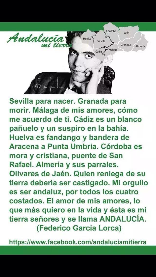 Rocío Pérez (@rocperruz) on Twitter photo 
