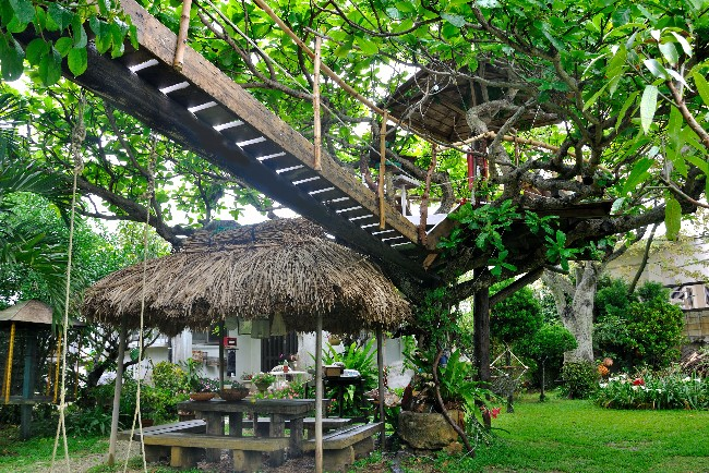 ツリーハウスの世界 Treehouseworld Twitter ツリーハウスの世界 Treehouseworld Twitter