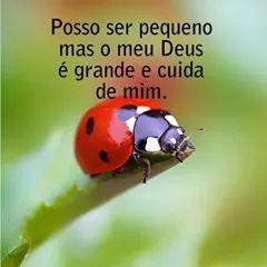 ivcardiais's tweet image. 