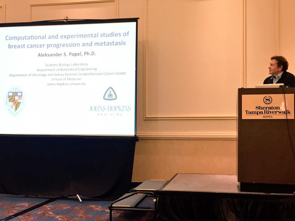 ara_anderson's tweet image. Sasha Popel: Computational modeling &amp;amp; experimental studies of breast cancer progression and metastasis #icbppsocmath
