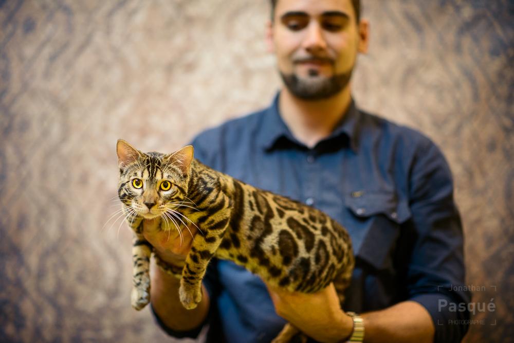 Seconde série photos réalisée au #SIA2015 mais dédiée exclusivement aux #chats cette fois...
france3-regions.francetvinfo.fr/paris-ile-de-f…