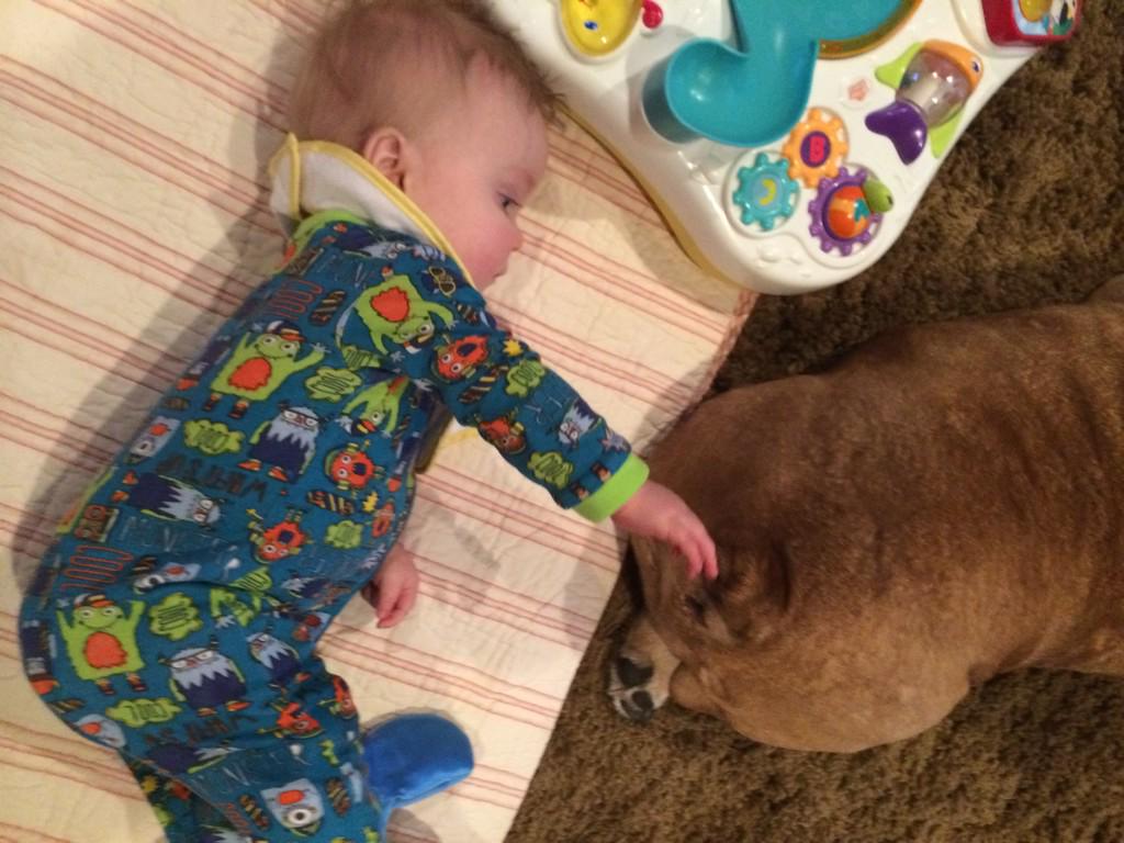 will_fisackerly's tweet image. George is pretty brave this morning.